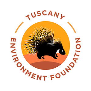 Logo TEF